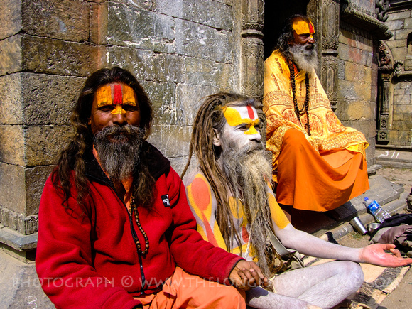 Sadhu's will make long pilgrimages to festivals