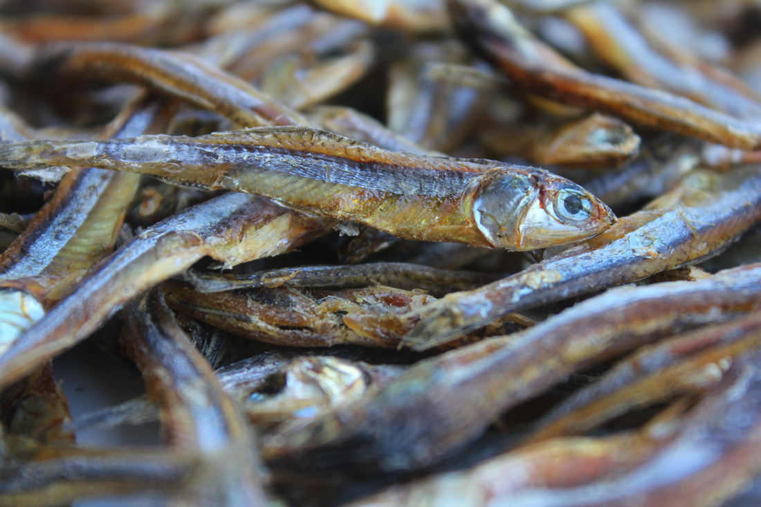 dried-fish-bolinao-food-from-the-philippines